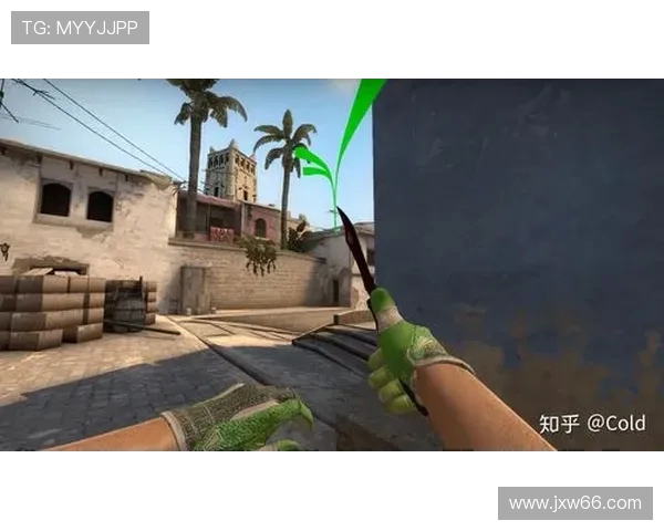 CSGO精彩解析：深入了解IG战队的战术灵活性与应变能力